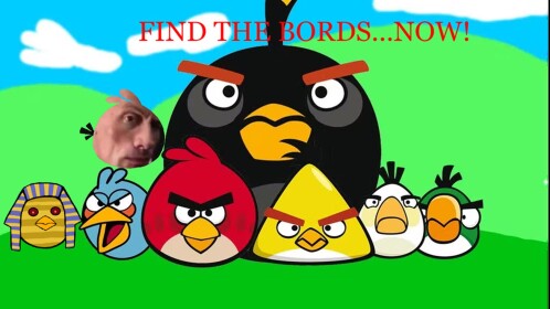 Find the Bords