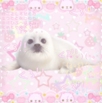 gummis silly seals