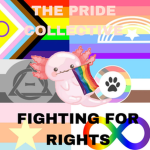 The Pride Collective