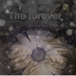 .The Forever.