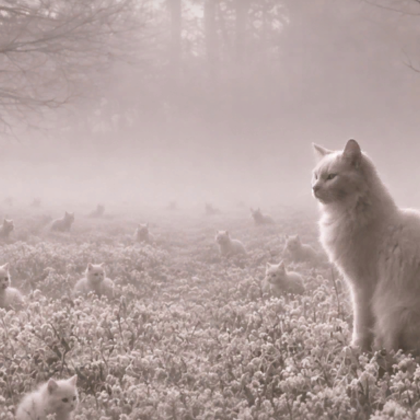 Ethereal Cat Winter Snow Forest Emo Background