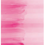 The Pink Dragon