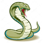 Slither Game Studios