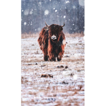 Parallel_LLama56's Group