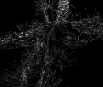 Zeta Necrotic Kinship