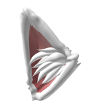Roblox entity thumbnail