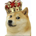 DogiesUnited