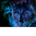 Wolves World Edition
