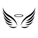 TeamMaynex