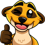 Test KraoESP