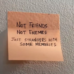 🌼 𝐼'𝓂