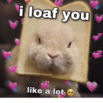 Ilymabby