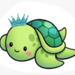 Turtle’s game’s