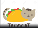 TaCo cAt ClUb FoReVeR
