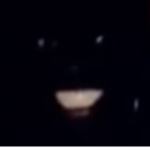 temporary gfroup for robux