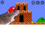 Mario rat fan club
