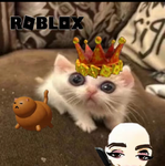 cat memes the beast ever