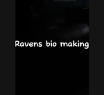 Ravens bffs