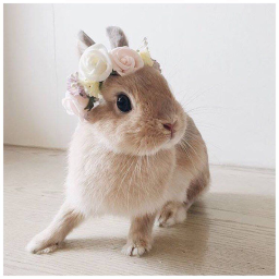 ♡