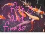 Fish And Friends