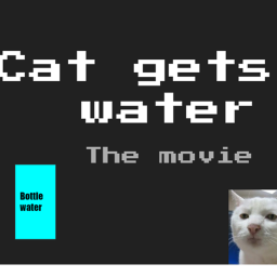 Cat gets water