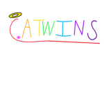 The C.A Twins