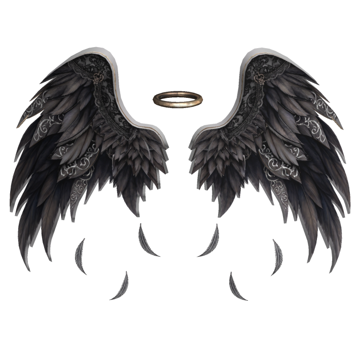 Emo Goth Dark Academia Fallen Angel Wings