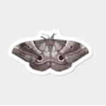 moth saves lives
