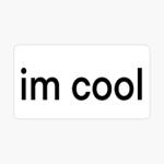 Cool Dudes And Stuff So And Stuff