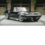 Speed For Life