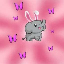 🌻Elephant Gang Hangout! 🌻
