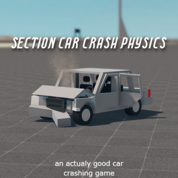 Section car crash physics
