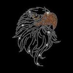 The Shining Eagles