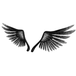 Gunmetal Wings