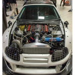 Fyti
