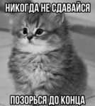 Lisa_rats