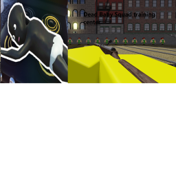 Official DBS Training Center
