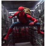 Spiders. group