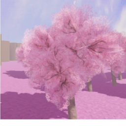 Sakura Forest - Hangout