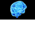 Mr. Big Brains