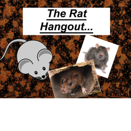 Rat Hangout Place [READ DESCRIPTION]
