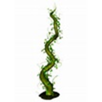 THE WALK STALK