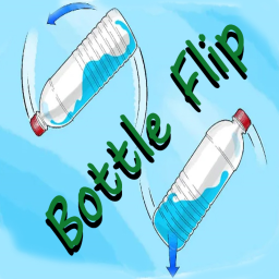 Bottle Flip