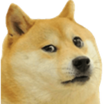 Doge Perfections