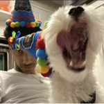 vluqzz