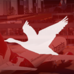 Branta Airways