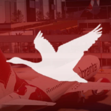 Branta Airways Roblox group icon