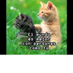 los mejores amigos del mundo mundial :D