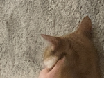 Maddy040213