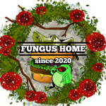 comfy cheeseburger fungus frog home